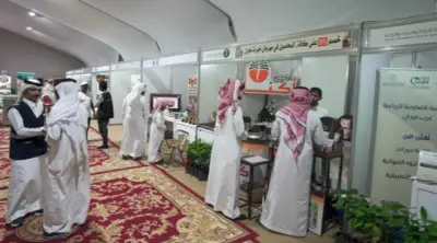 إطلاق مبادرة تشجير واسعة في المملكة لزيادة الرقعة الخضراء