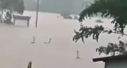 900 ثعبان سام تغزو شوارع مدينة هنغتشو الصينية بعد الفيضانات