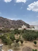 منطقة الباحة: نموذج واعد للاقتصاد الزراعي الدائري وتقليل الهدر