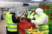 كاتريون وإكرام تجددان شراكتهما بعد توزيع 11 مليون عنصر غذائي