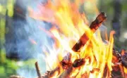 الدفاع المدني يدعو للالتزام بمواقع إشعال النار حفاظاً على الأرواح والغطاء النباتي