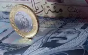 وزارة البيئة تطلق مبادرة لزراعة 10 ملايين شجرة في 5 سنوات