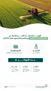 الأمن الغذائي يطرح مناقصة رابعة لاستيراد 655 ألف طن قمح