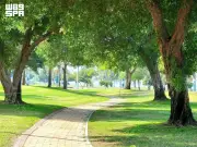 الجبيل الصناعية تحصد جائزة تخضير المدن العربية وتخفض الحرارة 5 درجات