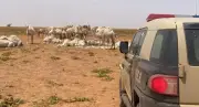 إطلاق برنامج واعد لتطوير قدرات الشباب في قطاع التطوع