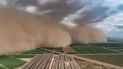 المملكة تسجل أدنى معدل تاريخي للعواصف الغبارية منذ 25 عاماً