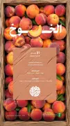 إنتاج الخوخ المحلي يتجاوز 31 ألف طن سنوياً ويغزو الأسواق السعودية